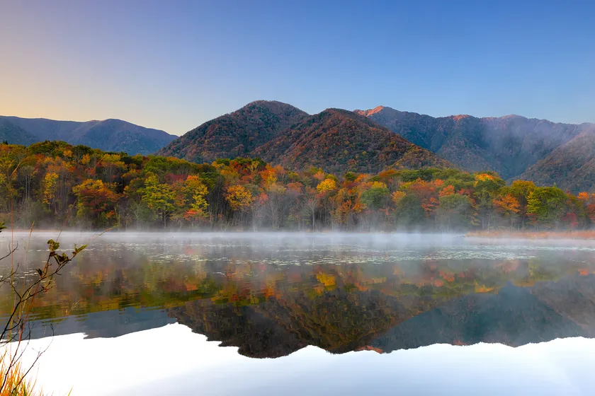 秋の観音沼森林公園