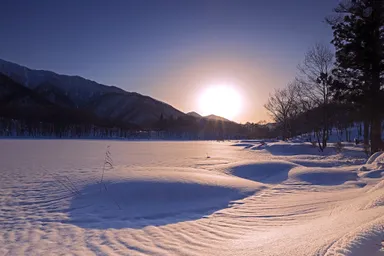 冬の観音沼森林公園