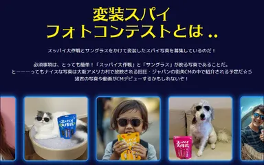 「スッパイ大作戦」変装スパイフォトコンテストとは