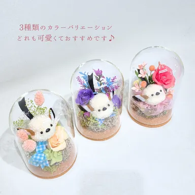 3羽のシマエナガ