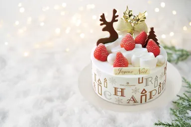 【アンリ・シャルパンティエ】ザ・ショートケーキ・ノエル