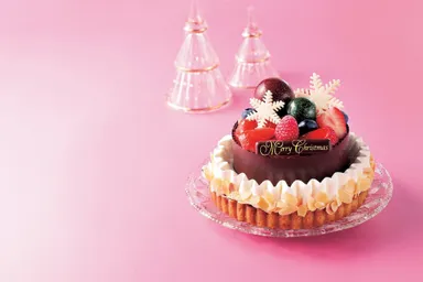 【アンテノール】エクラン・ド・ネージュ