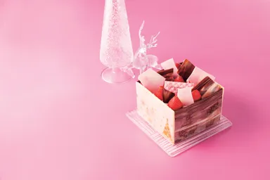 【ガトー・ド・ボワイヤージュ】デリス シャトー