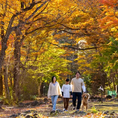 自然あふれるドッグパーク