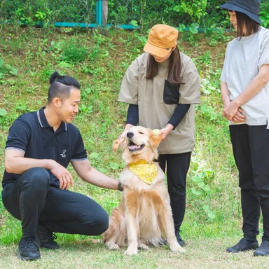 ドッグトレーナーと遊べる