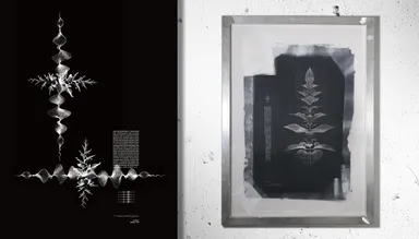 PromPlant(R) - HeatBeat シリーズ(新作)