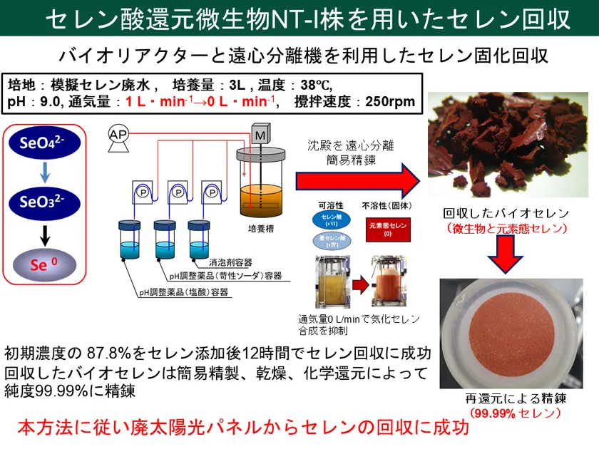 図2. 廃太陽光パネルからセレンを回収する一連の方法