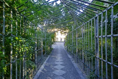 言の葉トンネル