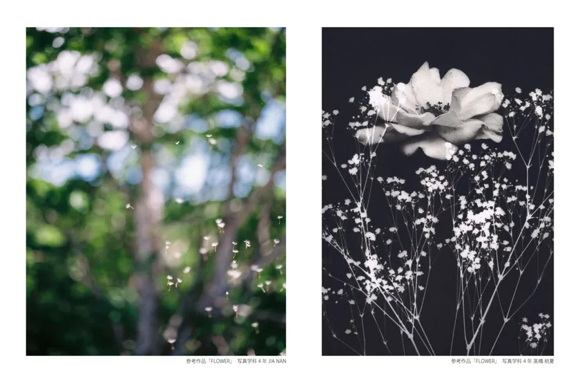 共同写真展参考作品「FLOWER」左：写真学科4年 JIA NAN、右：写真学科4年 髙橋 桃夏