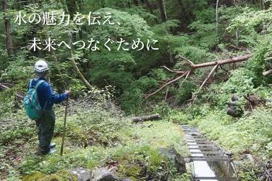 プロジェクトの未来