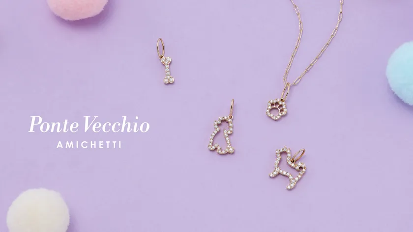 アミケッティコレクション 2025