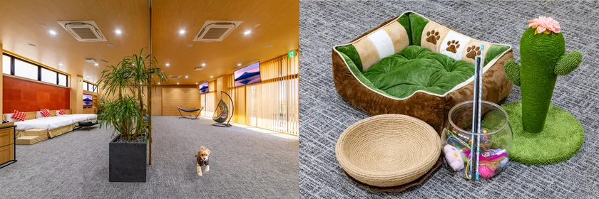 別棟みなみテラス・カゼドッグ&キャット(2)