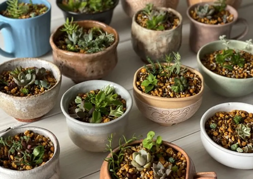 ワークショップ