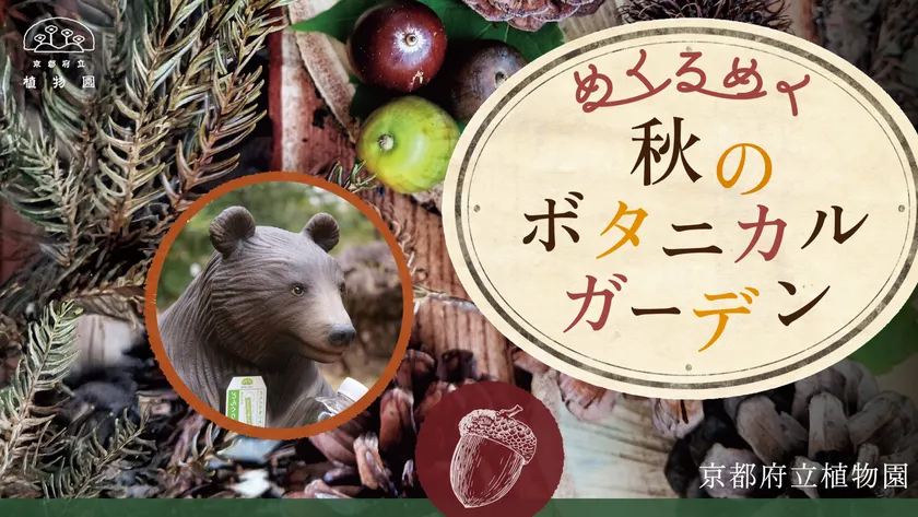 めくるめく秋のボタニカルガーデン