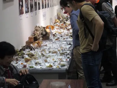 きのこ展示室(昨年度)