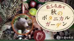 めくるめく秋のボタニカルガーデン