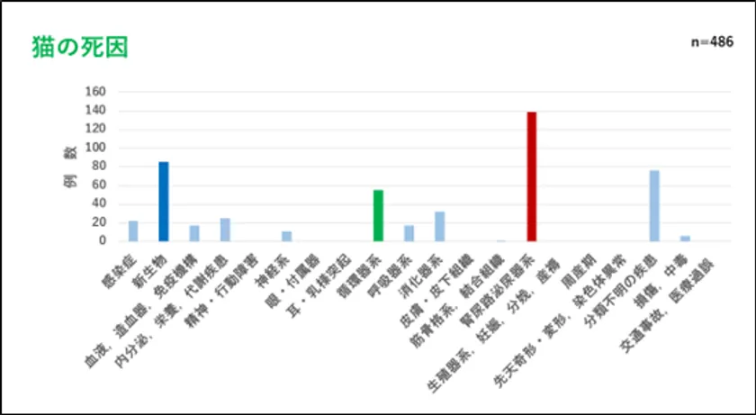 猫の死因