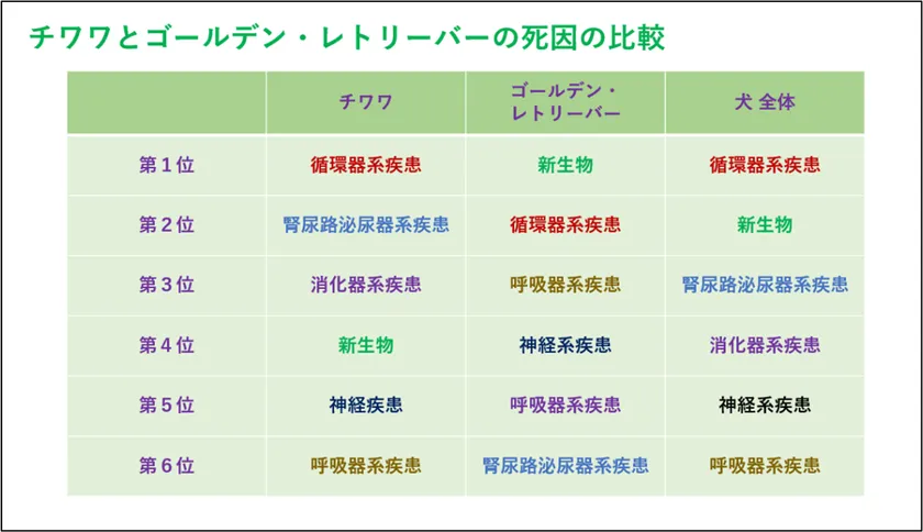 チワワとゴールデン・レトリーバーの死因の比較