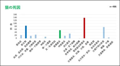 猫の死因