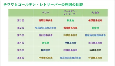 チワワとゴールデン・レトリーバーの死因の比較