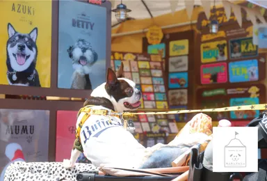 わんわんマルシェ