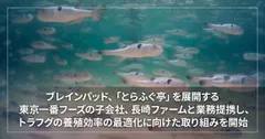 ブレインパッド、「とらふぐ亭」を展開する東京一番フーズの子会社、 長崎ファームと業務提携し、トラフグの養殖効率の最適化に向けた取り組みを開始
