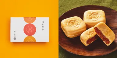 石井物産　柿もなか 5個入