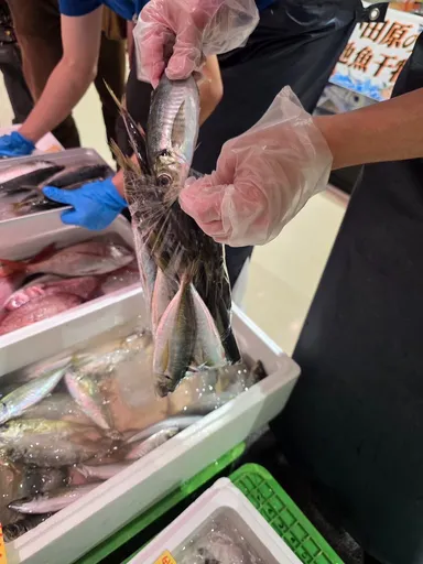 地魚の詰め放題を開催