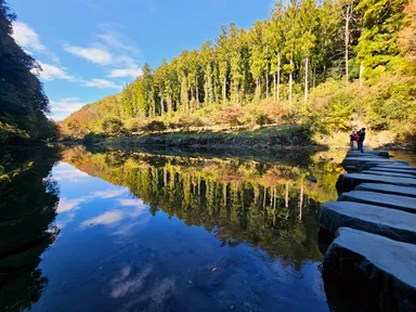 飛び石と水面に映る景色