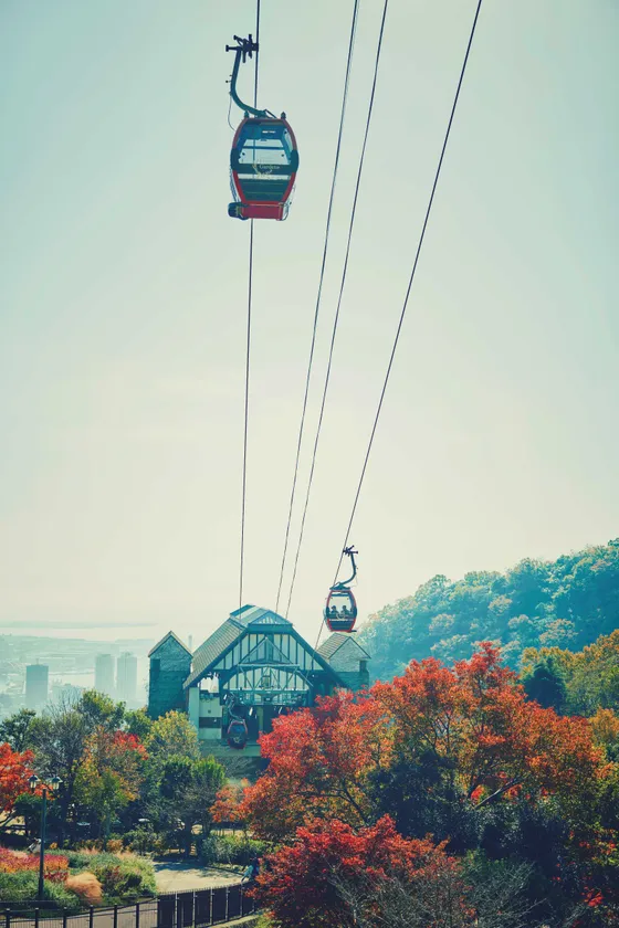 ロープウェイの車窓から眺める紅葉(2)