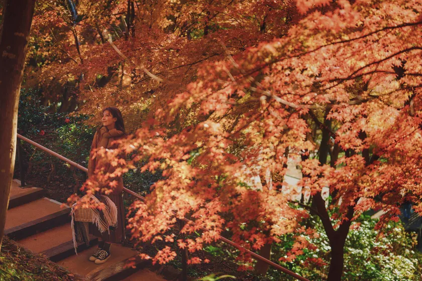 様々な色の世界に囲まれる散歩道「林の小径」