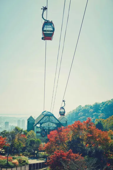 ロープウェイの車窓から眺める紅葉(2)