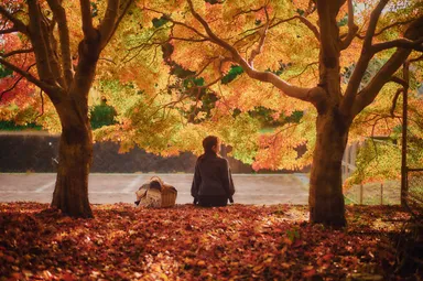 「布引の紅葉」の中で優雅に過ごす(1)