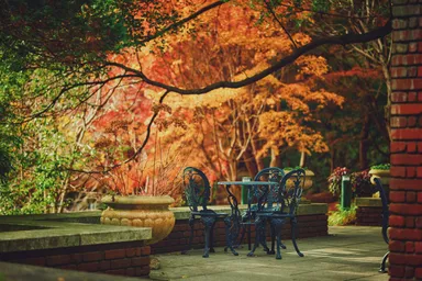 布引の紅葉がある風景(2)