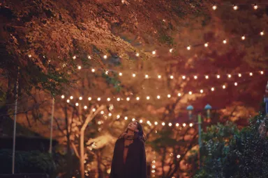 紅葉ライトアップとクリスマスイルミネーション(1)