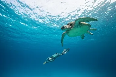 二木あい氏 水中写真