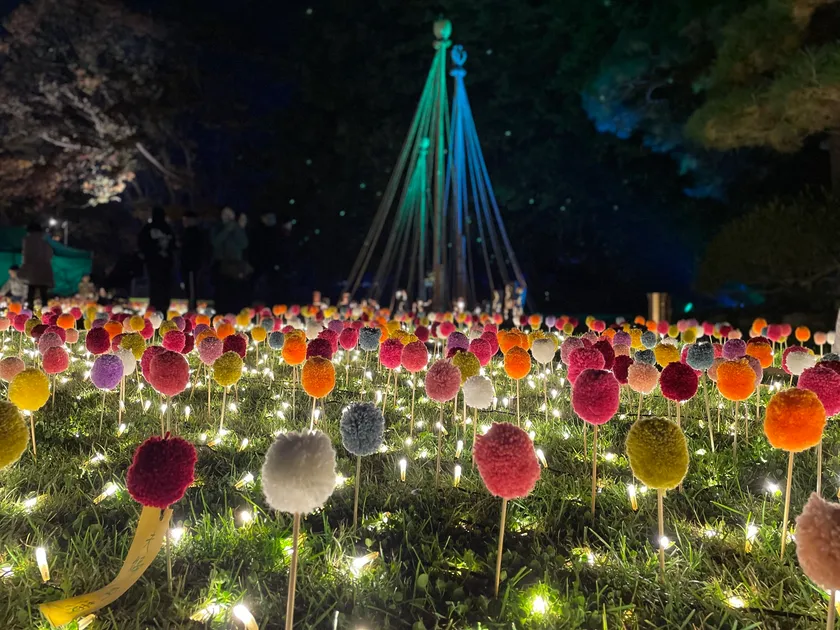 ぽんぽんマムの庭