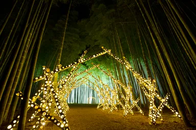 竹あかり(イメージ)