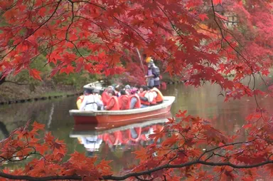 弘前公園中濠紅葉観光舟