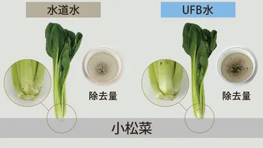 野菜汚れ落とし比較
