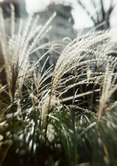 作例_ハーフフレームサイズ_2