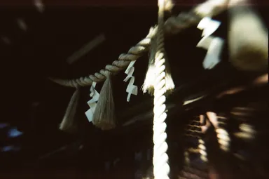 作例_フルフレームサイズ_2