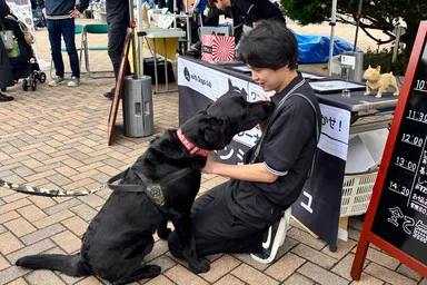 ドッグトレーナーと一緒に体験