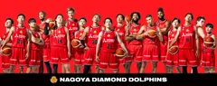 NAGOYA DIAMOND DOLPHINS