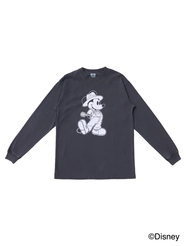 HD_Disney_LStee