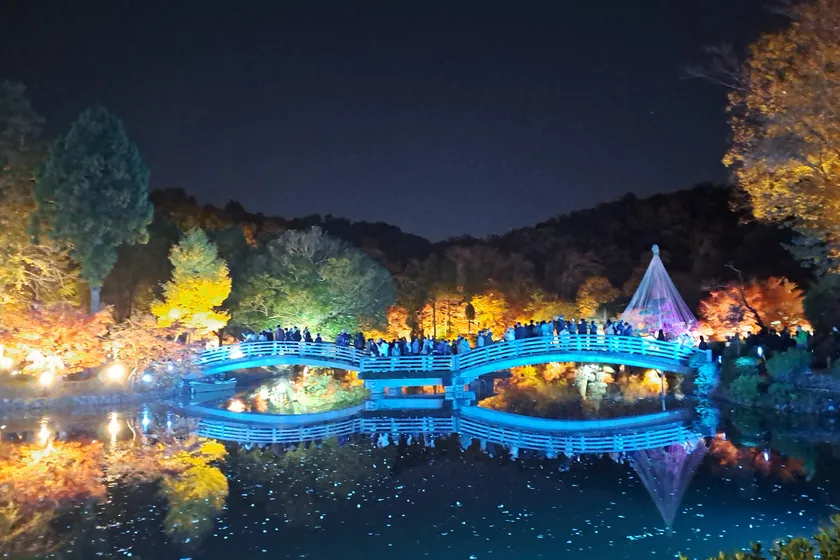 ゼルビアブルーにライトアップ