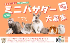 ミニバサダー大募集！