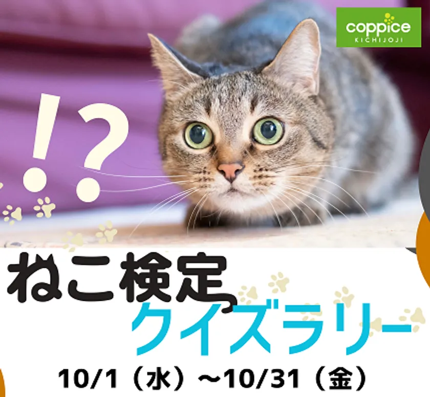 ねこ検定クイズラリー