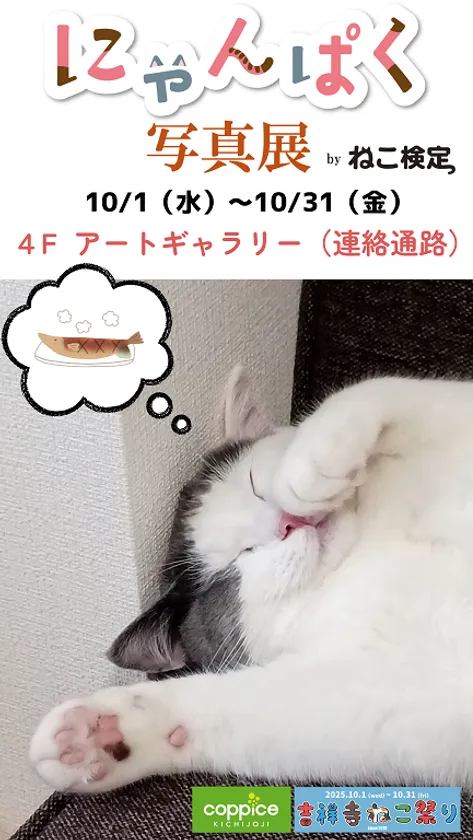 にゃんぱく写真展byねこ検定