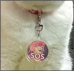 実際の装着イメージ写真